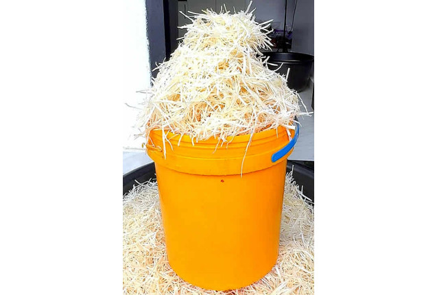 Abacha (One Paint Bucket)