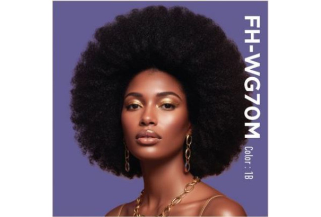 Wigs FH-WG70M | Colour: 1B