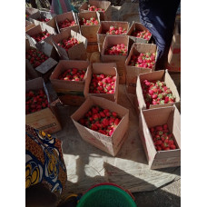 Strawberries 5kg Carton