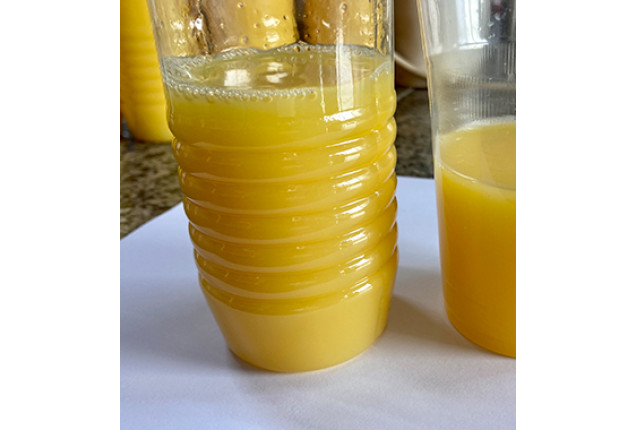 Frozen Concentrate Orange Juice - 240 Kg Plastic Drums