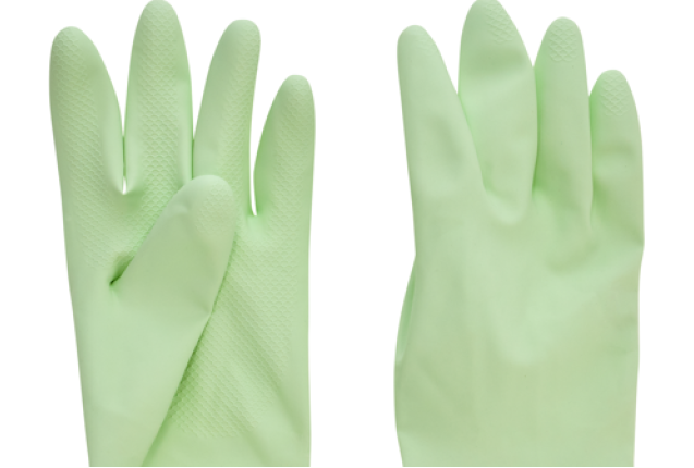 Household Gloves Aloe Vera - Medium or Large x 6