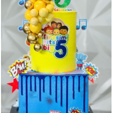 5th Kiddies themed cake