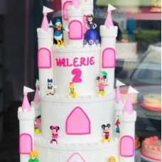 Kiddies Castle cake