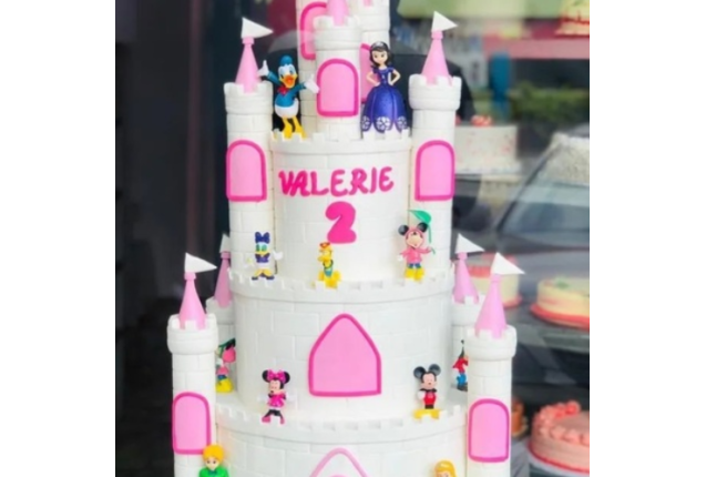 Kiddies Castle cake