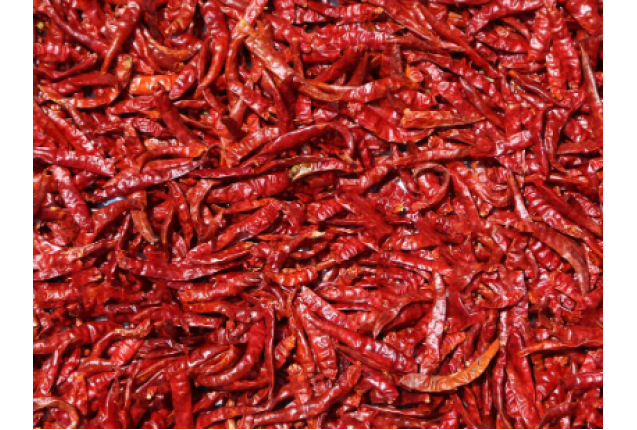 Bird Eye Chili Pepper - per tonnes