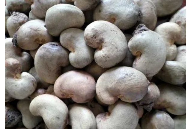 Cashew nuts W180