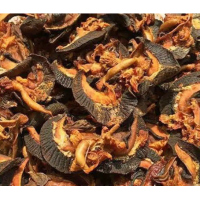 Oven Dried Snail XJumbo size