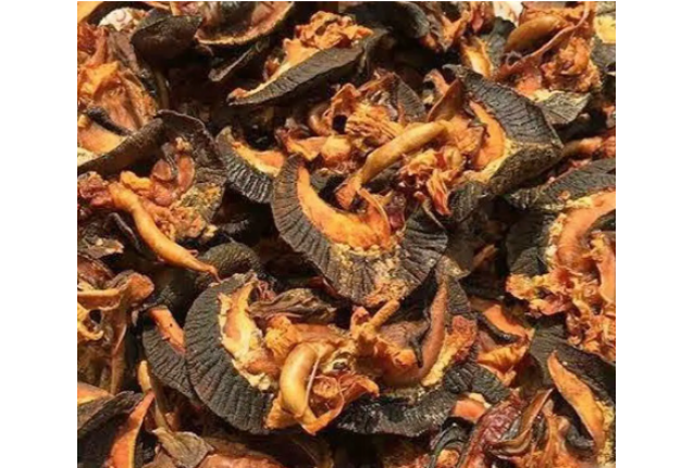 Oven Dried Snail Medium size