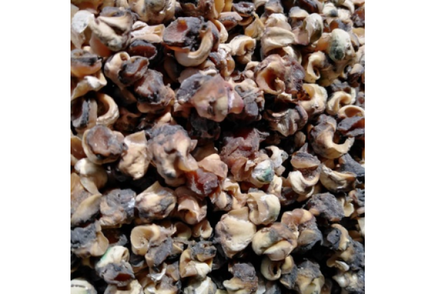 Dried Ngolo - Whelks - 500g