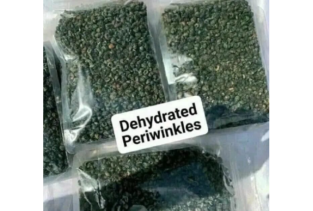 Dehydrated Periwinkles - Custard