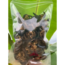 Dried Snail -JUMBO x 50