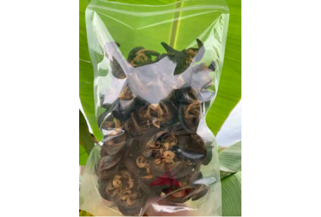 Dried Snail - Medium x 50