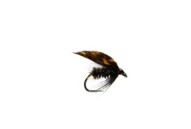 ALDER FLY BARBLESS x 12