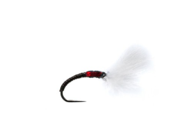 BARBLESS RIVER BUZZER x 12