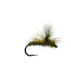 BARBLESS UNIVERSAL OLIVE x 12