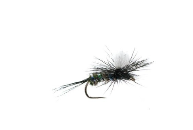 BARBLESS SKINNY PHEASANT TAIL NYMPH x 12