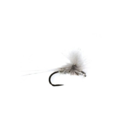 BARBLESS WHITE WATER DRY x 12