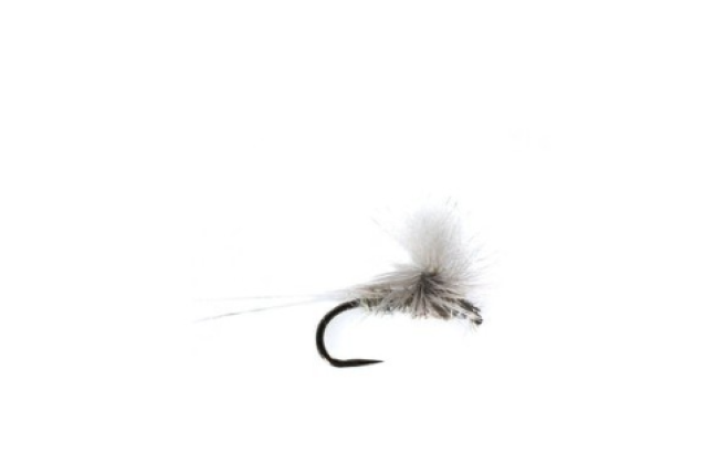 BARBLESS WHITE WATER DRY x 12