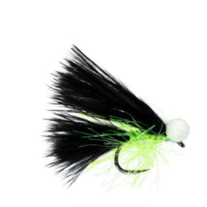BLACK CAT BOOBY BARBLESS x 12