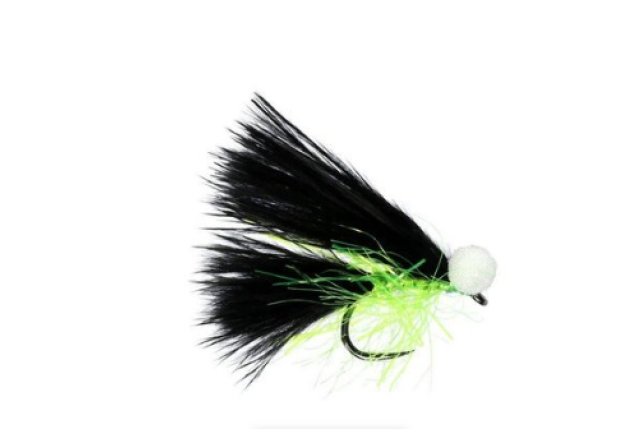 BLACK CAT BOOBY BARBLESS x 12