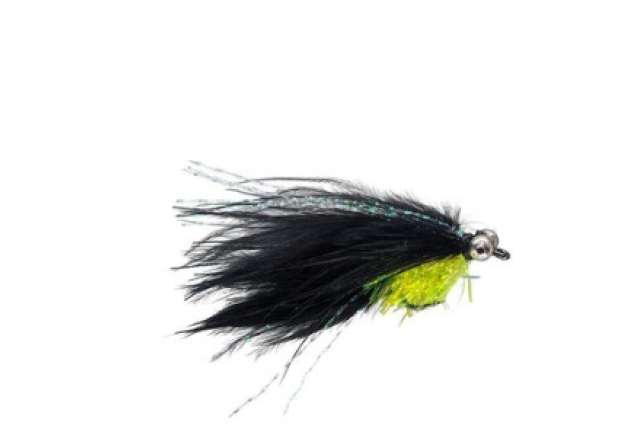 BLACK FRITZ CATS WHISKER BARBLESS x 12