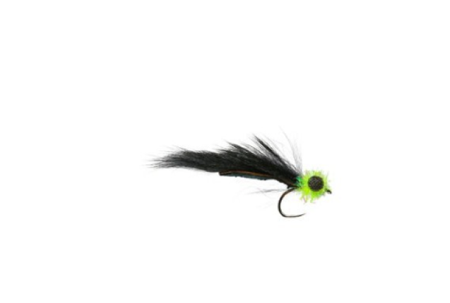 BLACK FRY ZONKER BOOBY BARBLESS x 12