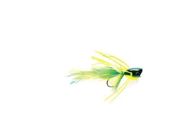 BASS POPPER FROG x 12