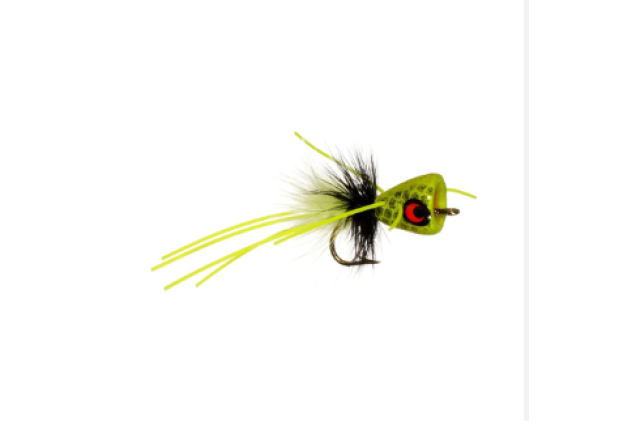 CB CHARTREUSE MICRO ME POP FROG x 12