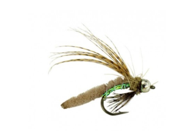 BEAD HEAD CADDIS POOPAH TAN x 12