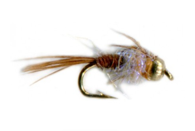 BEAD HEAD HOT BELLY PHEASANT TAIL PEARL x 12