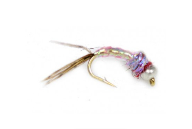 BEAD HEAD RAINBOW WARRIOR x 12