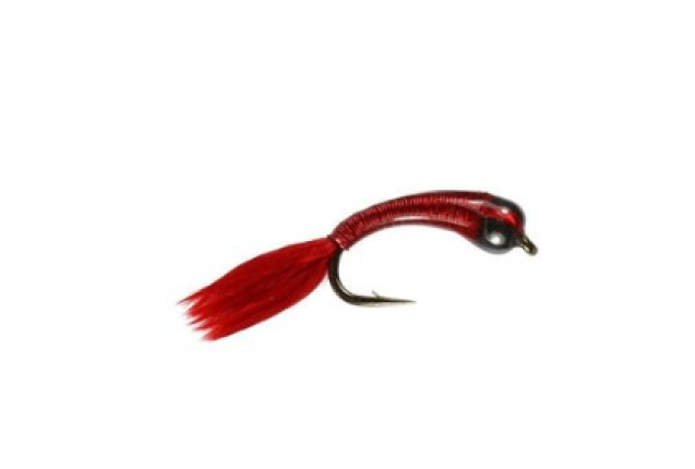 BEADED BLOODWORM STALKING BUG x 12