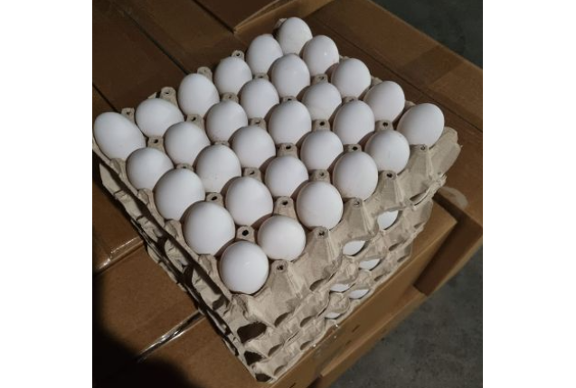 White Fresh Eggs in Shell - Per Carton