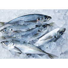 Horse mackerel - per ton