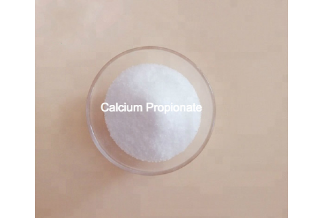 Food Additives Food Grade Calcium Propionate- PER MT