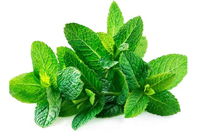 Spearmint Leaves per ton