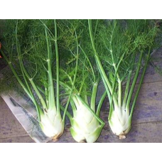 Fennel per ton