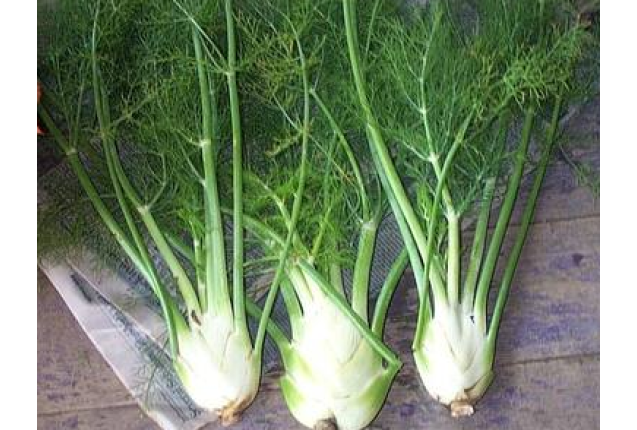 Fennel per ton