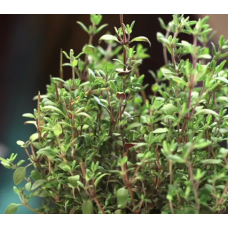 Thyme per ton