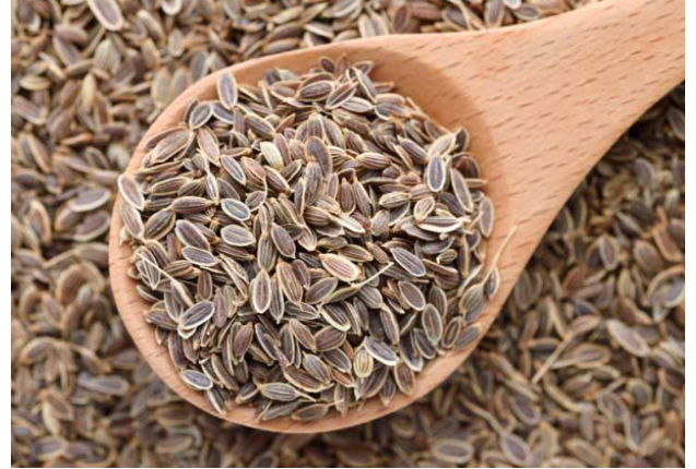 Dill Seed per ton