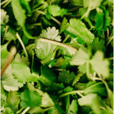 Cilantro sun-dried per ton