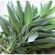 Sage leaves per ton