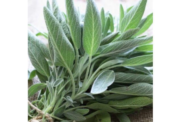 Sage leaves per ton