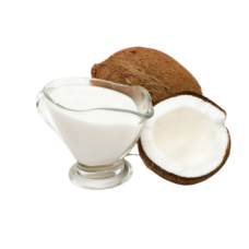 Natural Coconut Cream per MT