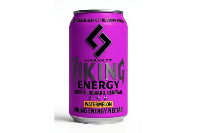 Viking Energy Watermelon - 250ml -MOQ 40FT Container x 24