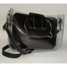 Transparent Mini Handbag