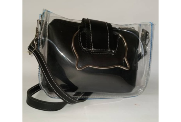 Transparent Mini Handbag