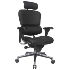 Equinox Ergonomic Leather Chair – EQEG011