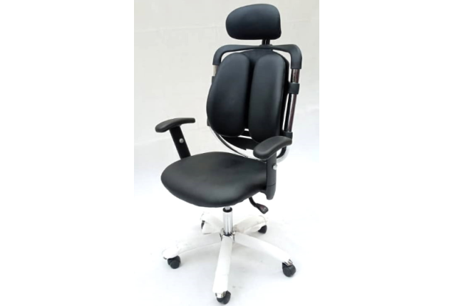 Equinox Ergonomic Kidney Leather Adjustable Armrest Chair – EQEG02