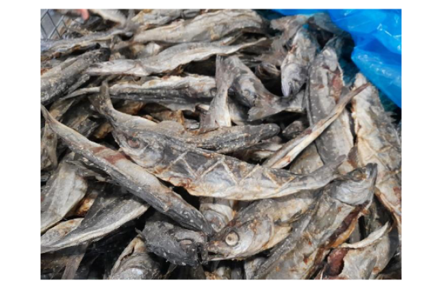Saithe- Dried Stock Fish per bale
